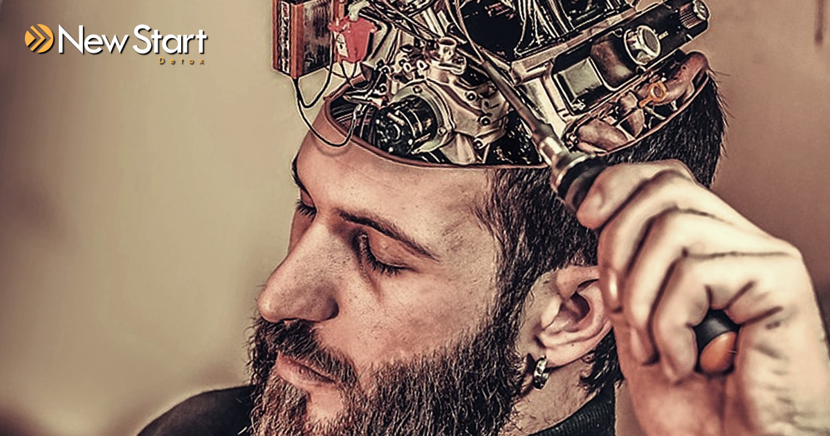 Triggers - Cognitive Structuring Leads to Addiction