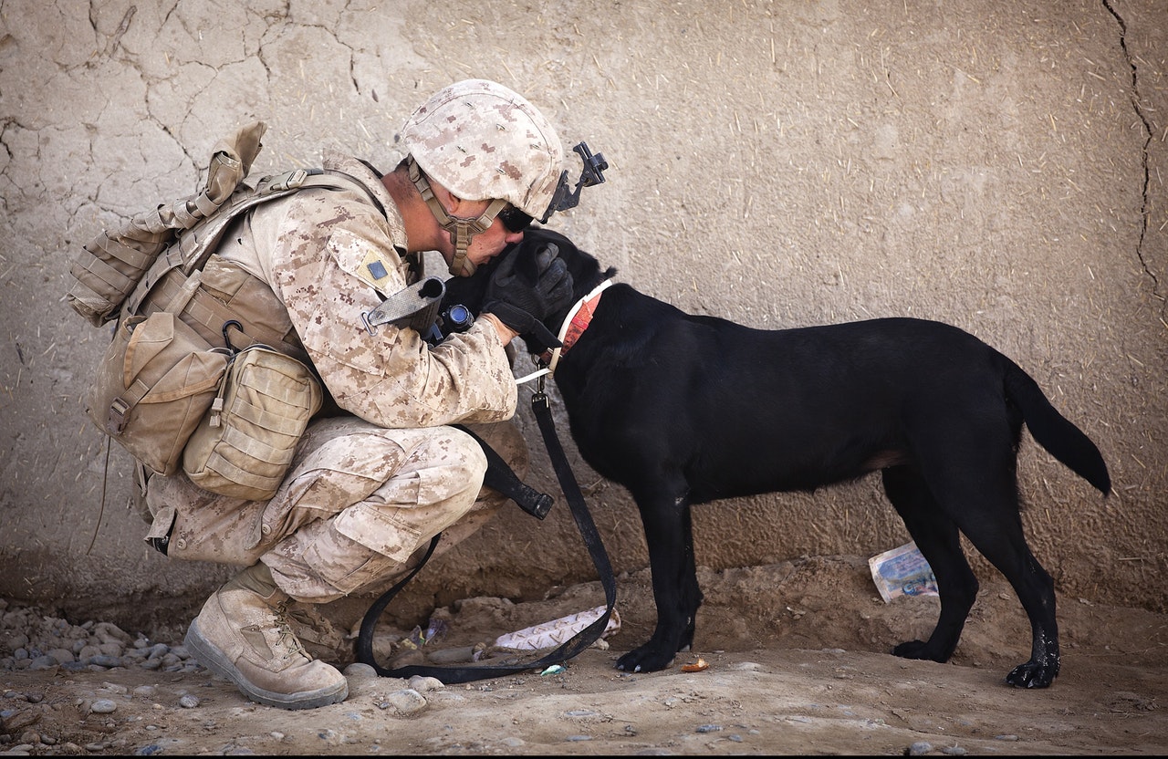 ptsd veterans