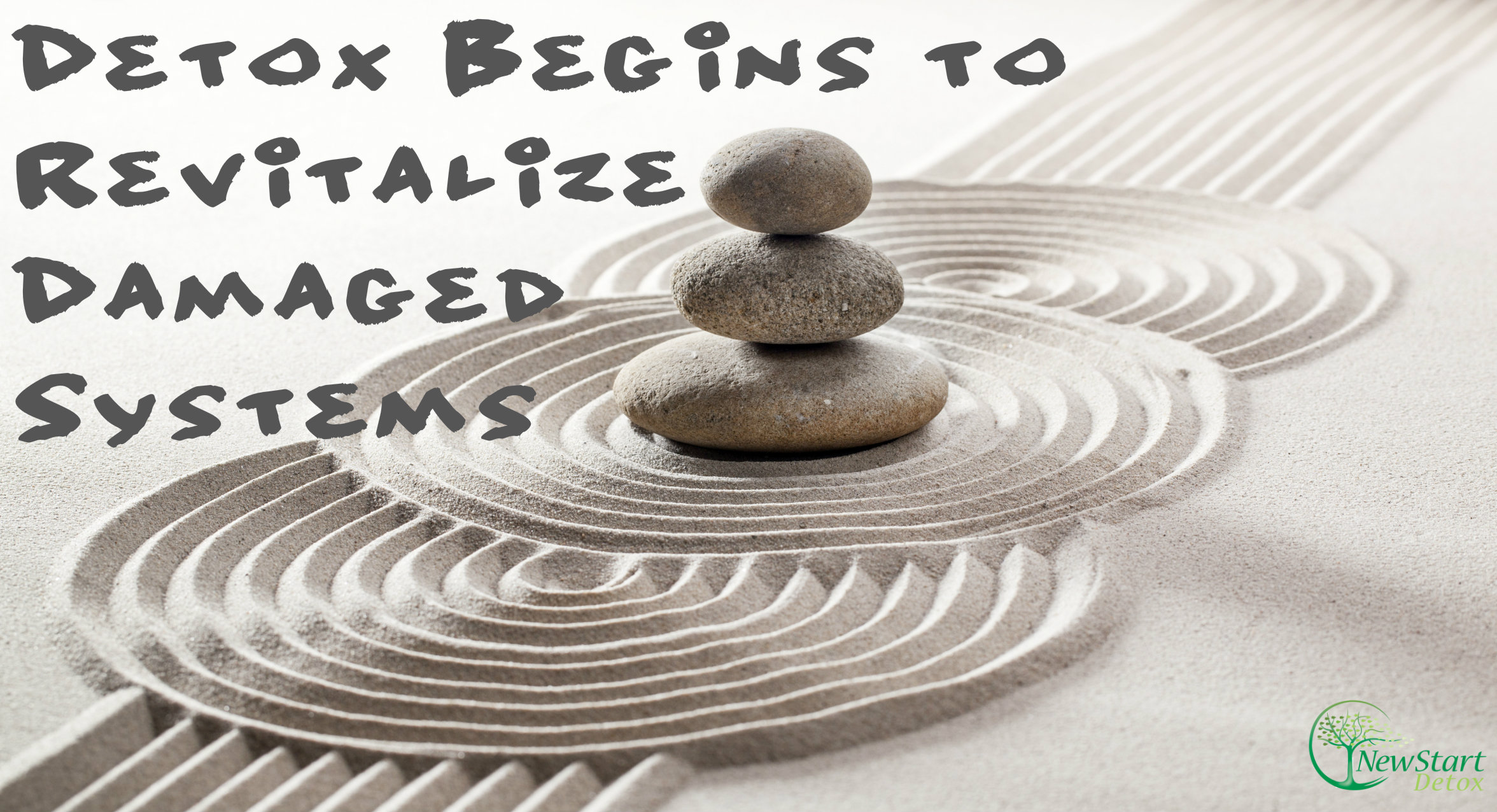 Detox begins to revitalize damaged systems
